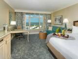 Standard Double room with river view