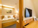 Standard Plus Family room
