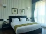 1 Bedroom Executive Suite with view