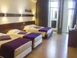 Standard Quadruple Family room with balcony and with garden view
