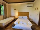 Deluxe Double room with garden view