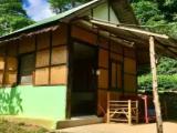 Economy Bungalow