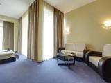 Business Double Suite