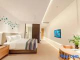 Deluxe Double room with garden view