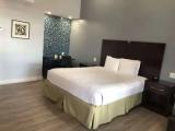 Standard Double room with balcony and with ocean view