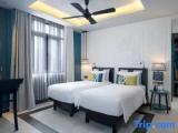 Deluxe Twin room with pool view