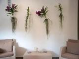 3 Bedrooms Apartment