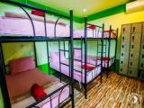 Bed in Dorm