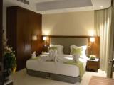 Executive Double Suite