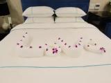 Double Suite with city view