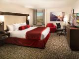 Elite Double room