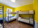 Bed in Dorm (female dorm) with city view