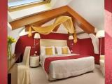 Standard Attic room