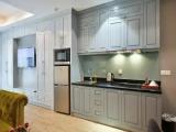 Premium Double Studio with city view