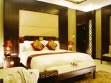 Executive Double Suite