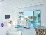 1 Bedroom Single Penthouse Suite