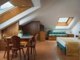 Standard Family room with mountain view