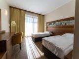 Standard Double room with balcony and with view