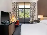 1 Bedroom Executive Double Suite