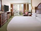 Double Club room with city view
