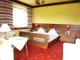 Standard Double room with balcony and with mountain view