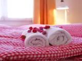 Standard Double room with mountain view