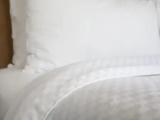 1 Bedroom Basement Suite