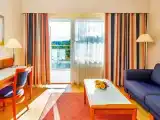 Superior Twin room with garden view