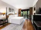 Standard Double room with balcony and with pool view