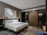 Executive Double Suite
