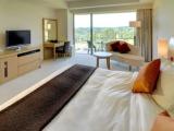 Superior Double room with view