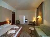 Premium Double room with garden view