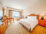 Executive Double room with river view