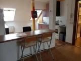 1 Bedroom Basement Apartment