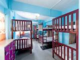 Bed in Dorm (female dorm)