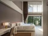 Duplex Suite