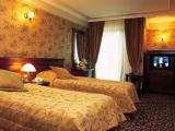 Deluxe room with park view