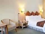 Deluxe Double room with city view
