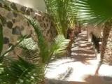 Economy Double room with courtyard view