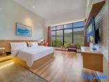 Standard Double room with balcony and with river view