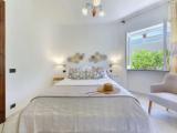 Comfort Suite