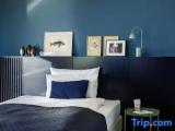 Comfort (French Bed) Studio