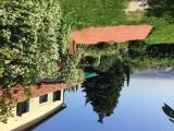 Standard Double room with garden view