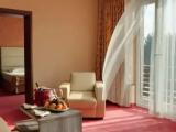 Standard Single room with view