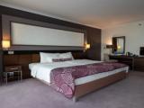 Double Junior Suite