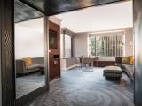Superior Double Suite with city view