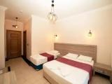 Standard Triple room with balcony and with garden view