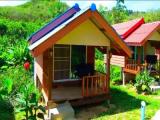 Bungalow with garden view