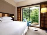 Deluxe Double Comfort Room