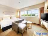 Superior Double room with mountain view